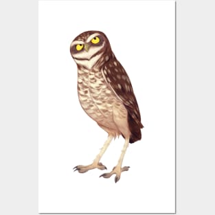 Burrowing owl Posters and Art